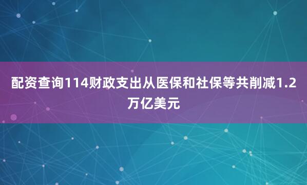 配资查询114财政支出从医保和社保等共削减1.2万亿美元