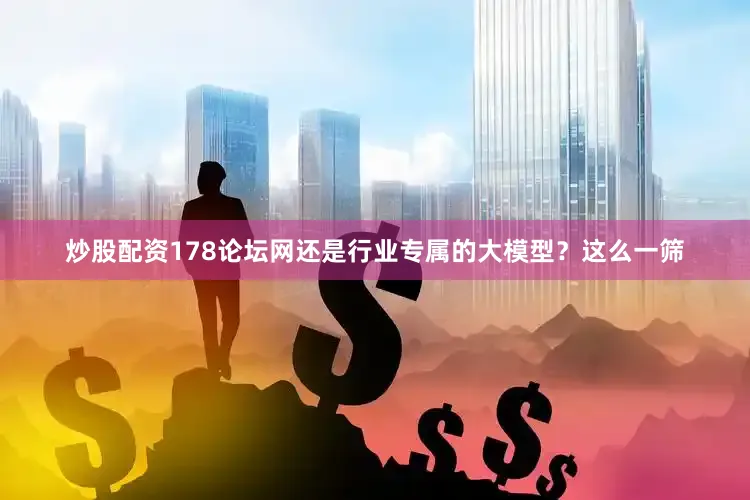 炒股配资178论坛网还是行业专属的大模型？这么一筛