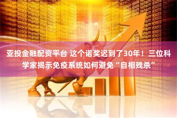 亚投金融配资平台 这个诺奖迟到了30年！三位科学家揭示免疫系统如何避免“自相残杀”